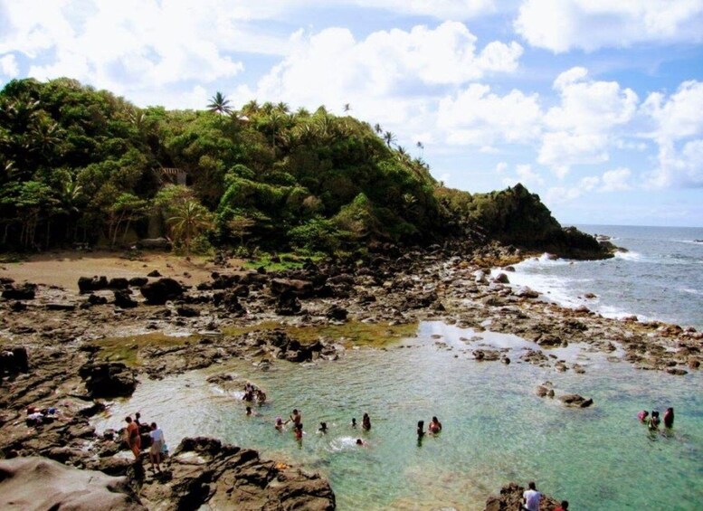 A rocky beach with clear water and people swimming. 5