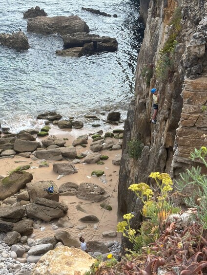 Picture 9 for Activity Peniche: Rock climbing on the wonderful cliffs by the sea. Certified guide. 3