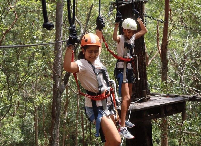 Picture 4 for Activity Tamborine Mountain: High Ropes and Zipline Adventure Park 2