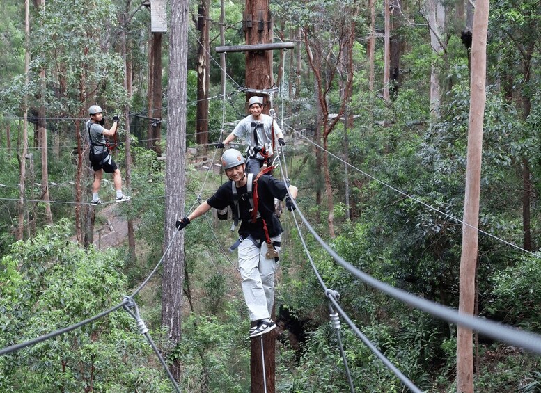 Picture 9 for Activity Tamborine Mountain: High Ropes and Zipline Adventure Park 5