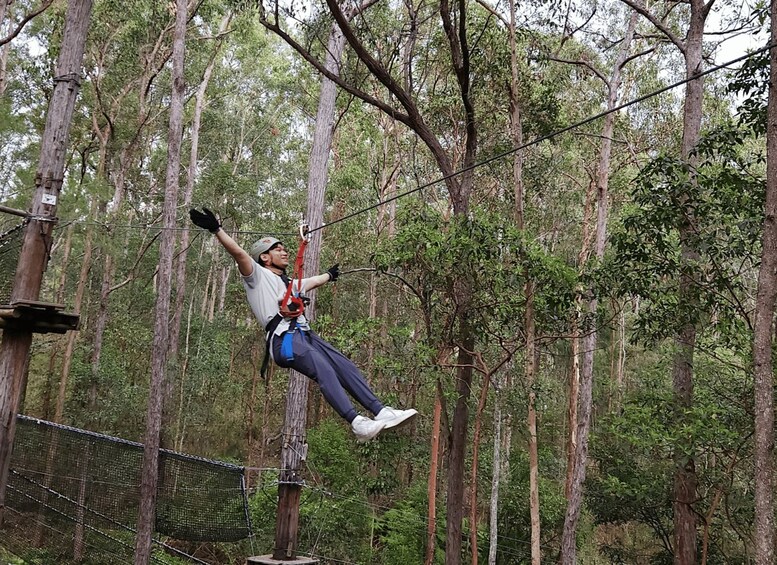 Picture 8 for Activity Tamborine Mountain: High Ropes and Zipline Adventure Park 3