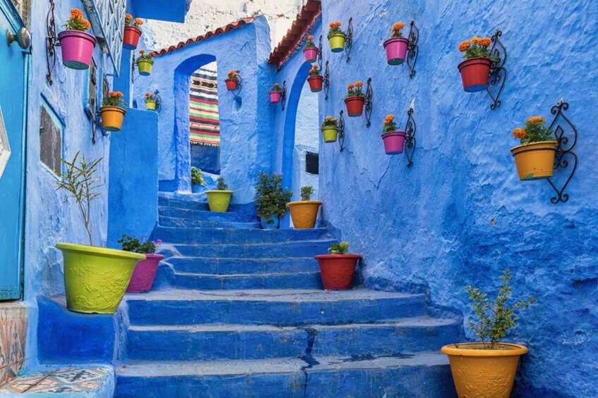 A staircase with blue walls and colorful hanging pots. 1