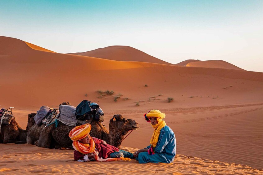 A desert landscape with sand dunes and camels. 4