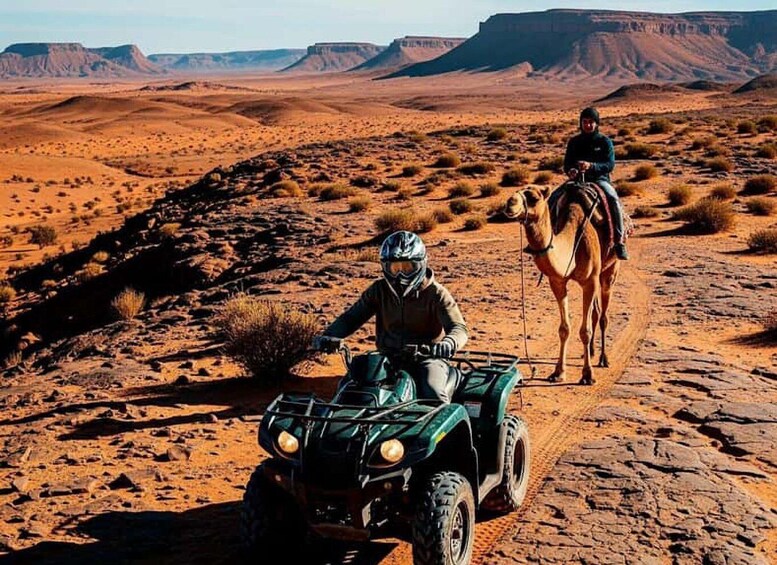 A person riding an ATV in a desert landscape with rocky terrain and distant mountains. 1