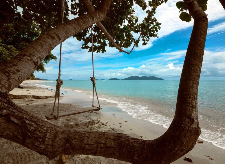 A beach with a swing hanging from a tree, calm water, and a clear sky. 5