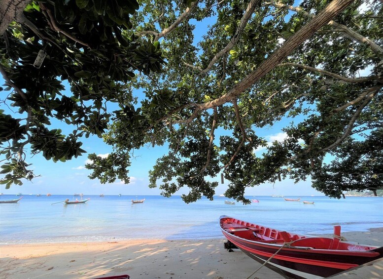 A beach with a red boat, boats on the water, and trees overhead. 3