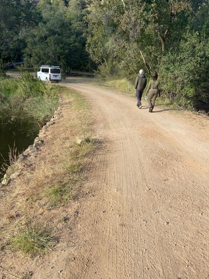 Picture 4 for Activity Zimbabwe: Guided Hikes, Safaris, and Wellness Retreats 5