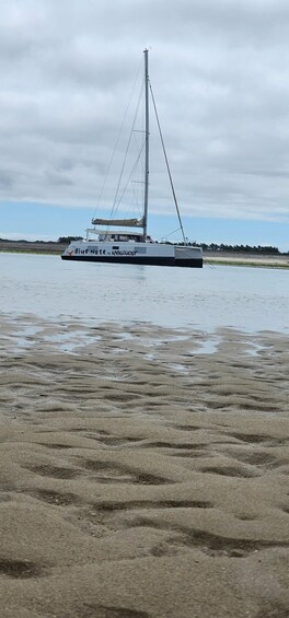 Picture 1 for Activity La Flotte en Ré - 5H30 Sailing Catamaran Long Cruise 3