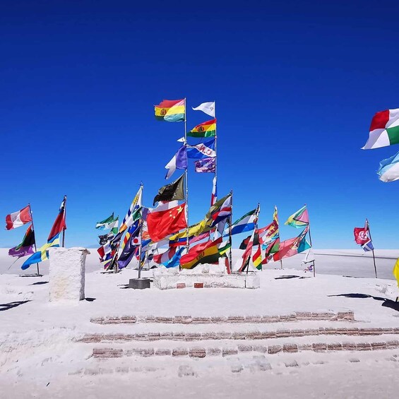 A collection of international flags on flagpoles in a snowy landscape. 3