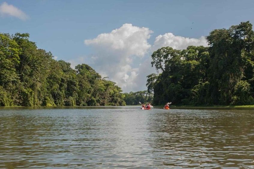 Guided Kayak Tour in Tortuguero National Park ***EXCITING*** 1