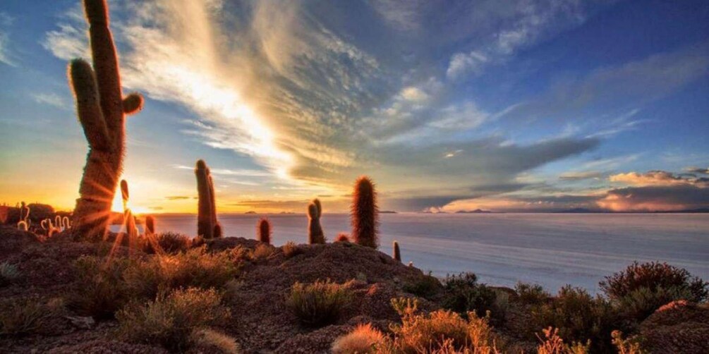 Picture 3 for Activity Uyuni: Salt Flats and Train Cemetery Day Trip 5