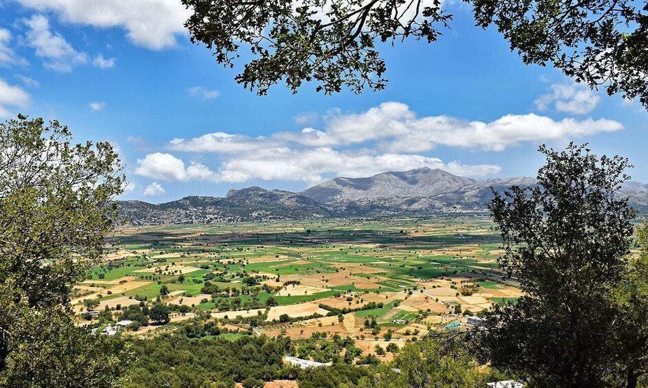 Un valle con campos, montañas y árboles dispersos. 5