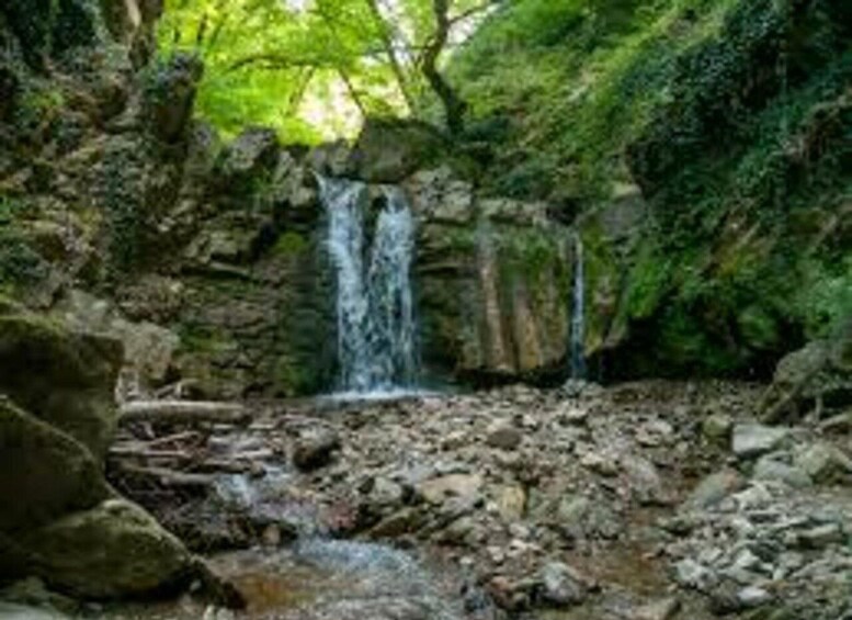 A waterfall in a forested area with rocky terrain and lush greenery. 3
