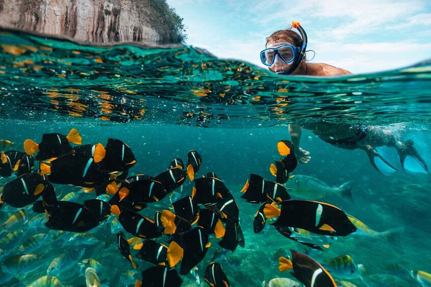 En person som snorklar tillsammans med en stim av fiskar. 1