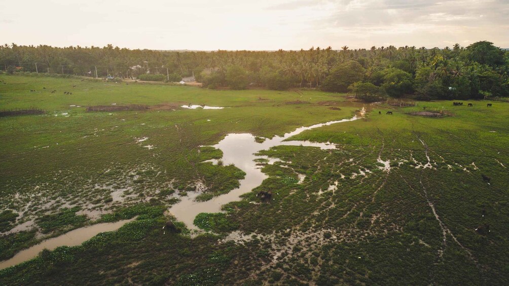 A flooded landscape with water channels and patches of vegetation. 1