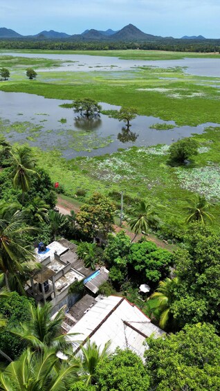 A lush landscape with a river, palm trees, and a small building. 5