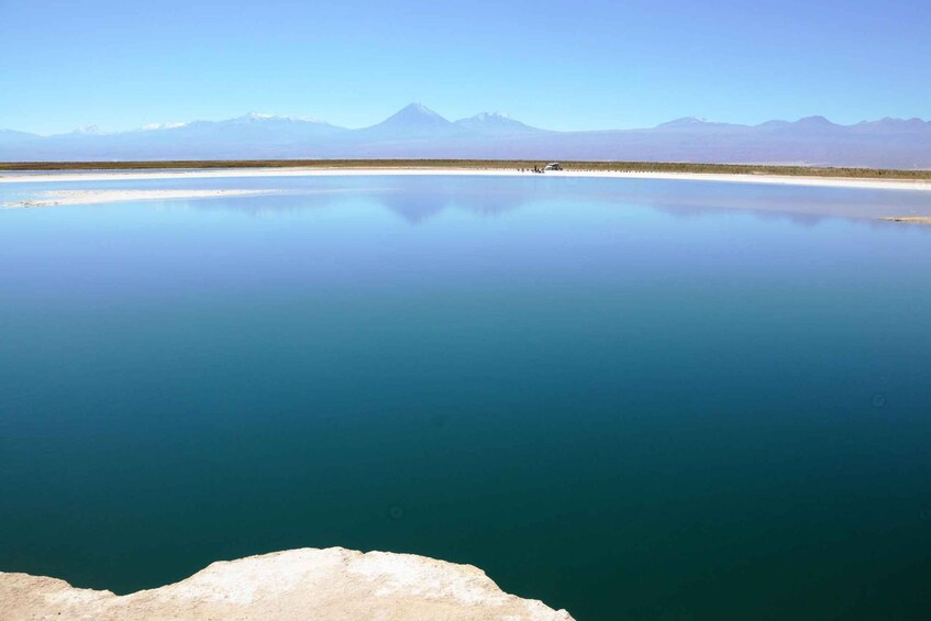 Picture 4 for Activity San Pedro de Atacama: Laguna Cejar Half-Day Guided Tour 4