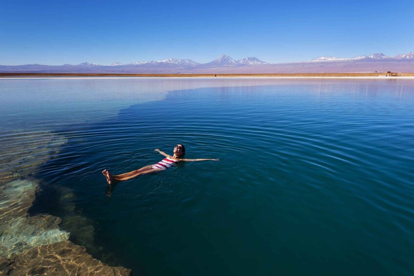 San Pedro de Atacama: Laguna Cejar Half-Day Guided Tour 1