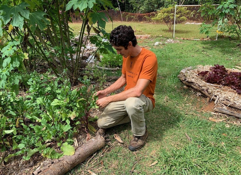 A person kneeling in a garden, tending to plants. 1