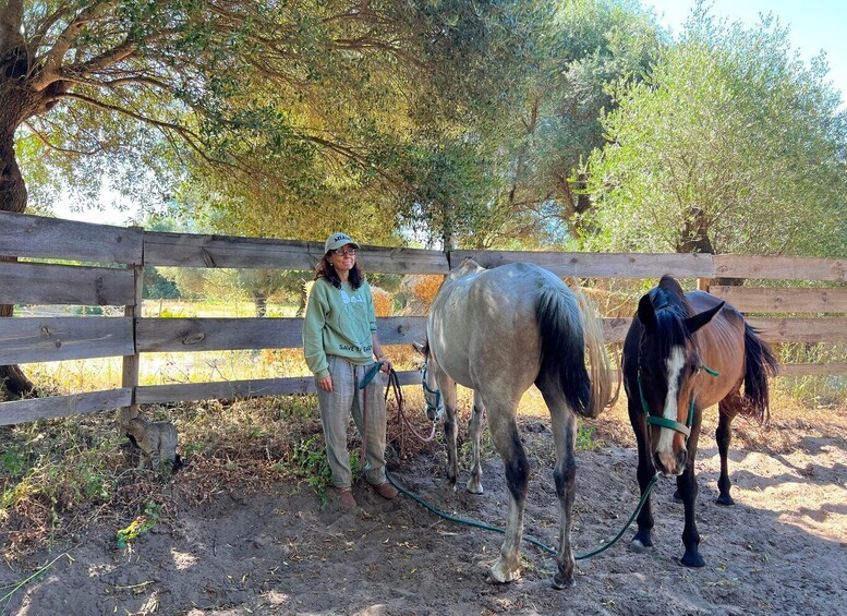 Picture 9 for Activity El Palmar: Reconecta gracias al Coaching con Caballos 2
