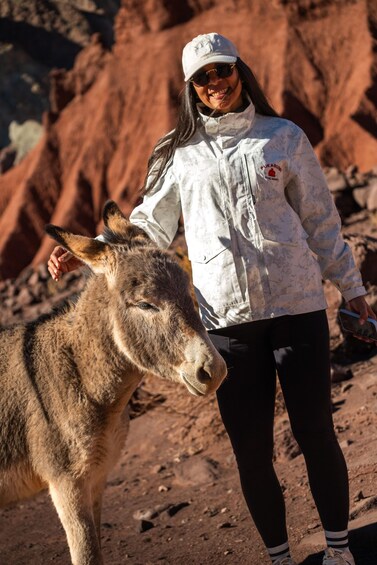 A person in a white jacket and black pants standing next to a donkey in a rocky terrain. 3