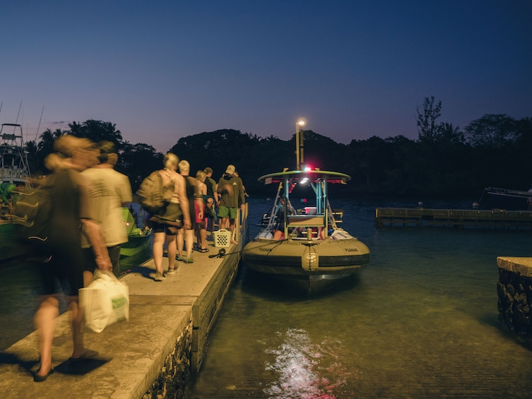 Manta Ray Night Snorkel at famed Manta Ray Village from Keauhou Harbor  3