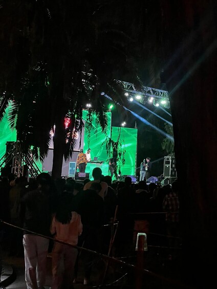 A stage with a green screen backdrop, a performer, and a crowd of people. 1