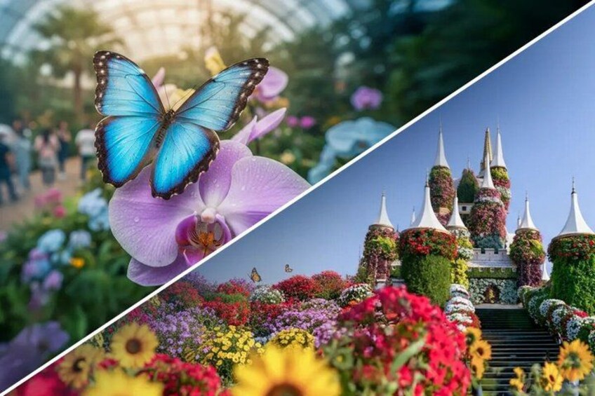 Miracle Garden & Butterfly Garden Dubai Tickets 1