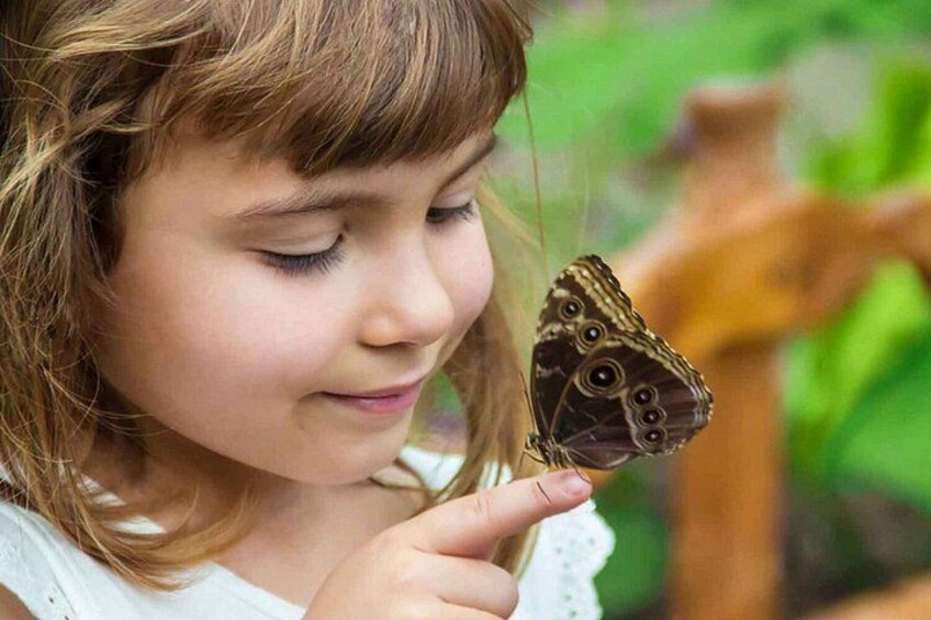 A person holding a butterfly. 1