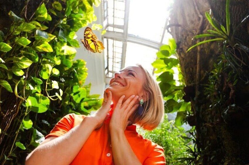 Een persoon in een oranje shirt, omringd door weelderige groene begroeiing en een grote boomstam. 4