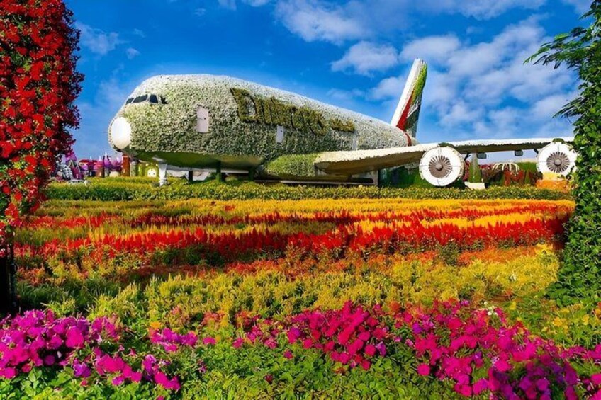 Miracle Garden & Butterfly Garden Dubai Tickets 5