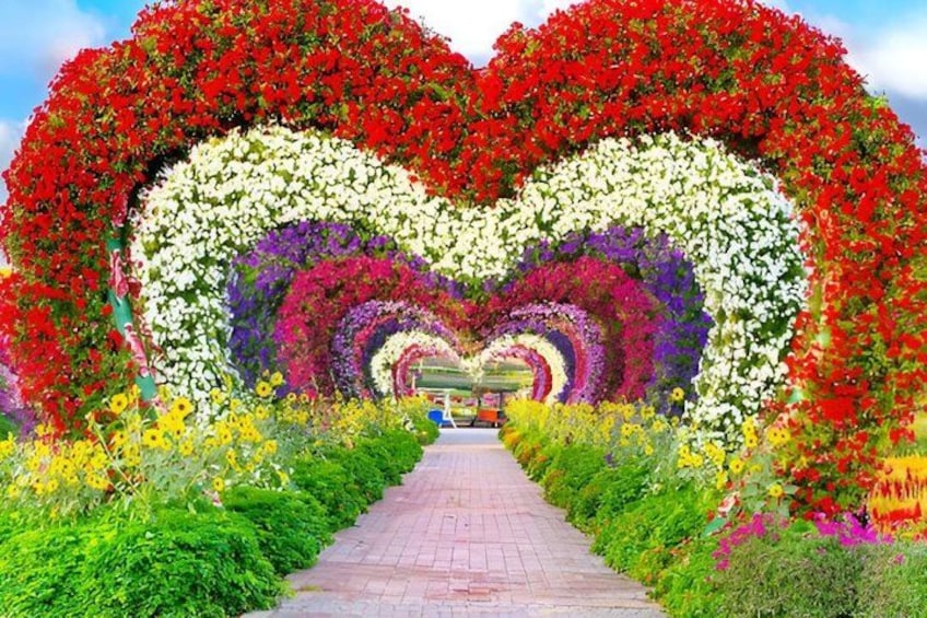 Miracle Garden & Butterfly Garden Dubai Tickets 2