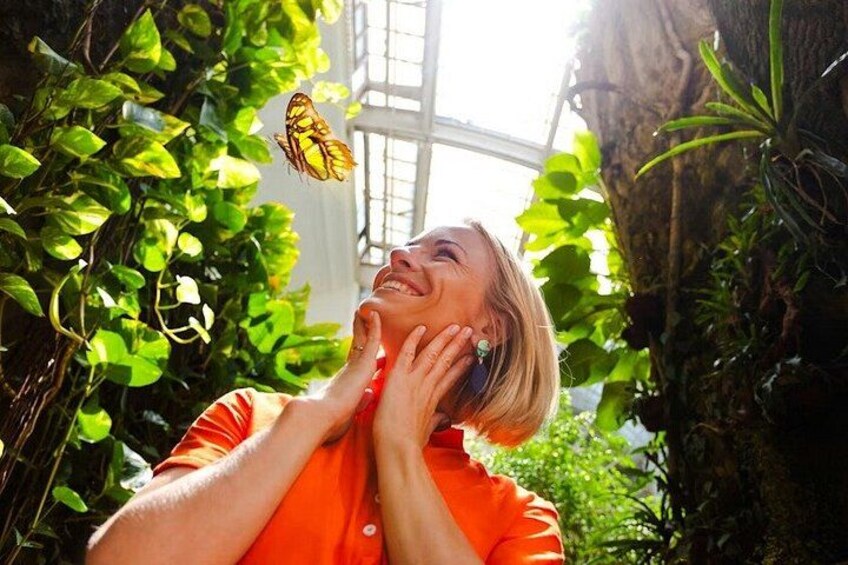 Dubai Butterfly Garden Tickets 1