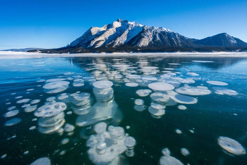 Picture 6 for Activity From Calgary: Jasper & Banff Year-Round Scenic Adventure 3