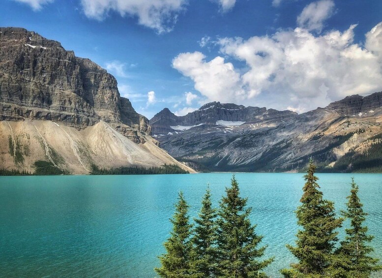 Picture 4 for Activity Wild Adventure to Jasper + Banff with picnic and drinks 2
