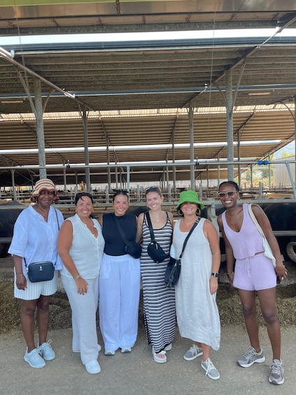 From Sorrento: Buffalo Mozzarella & Farm Lunch in Paestum 1