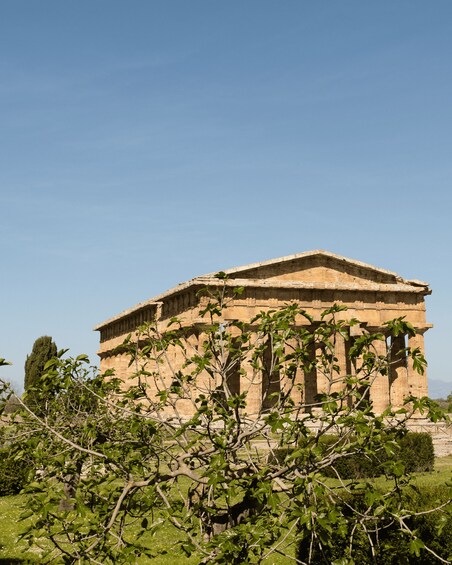Picture 6 for Activity From Sorrento: Buffalo Mozzarella & Farm Lunch in Paestum 4