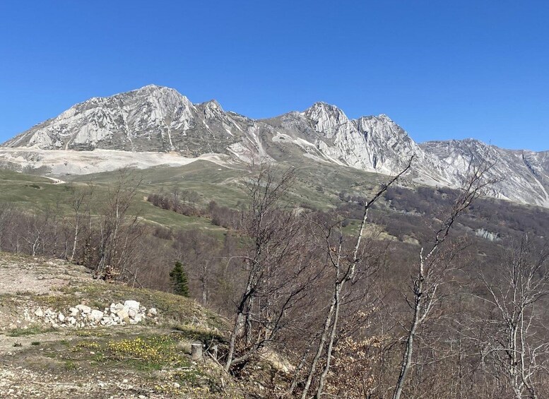 Picture 4 for Activity Ostrovica Mountain Hiking Adventure 5