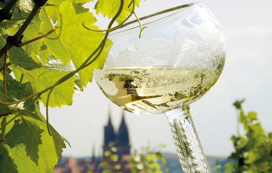 A wine glass with a vineyard scene etched on it, set against a cityscape with a prominent church spire. 2