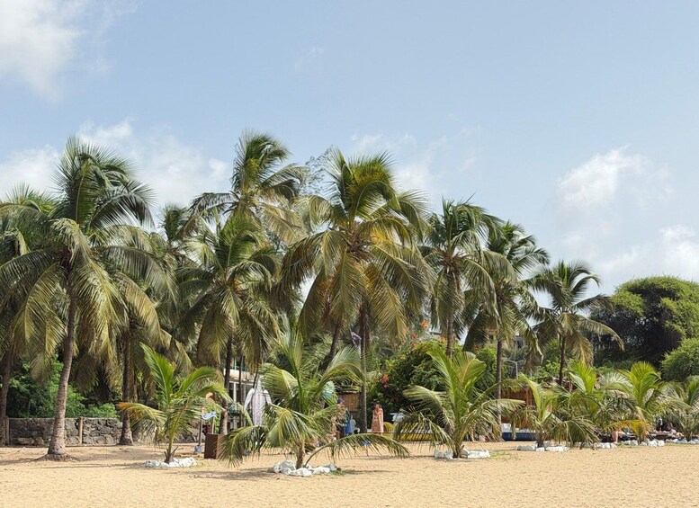 Picture 45 for Activity From Praia: Explore the entire island of Santiago in 1 day with tastings 4