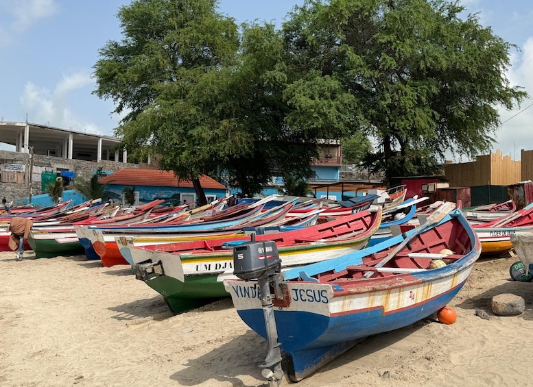 Picture 4 for Activity From Praia: Explore the entire island of Santiago in 1 day with tastings 5