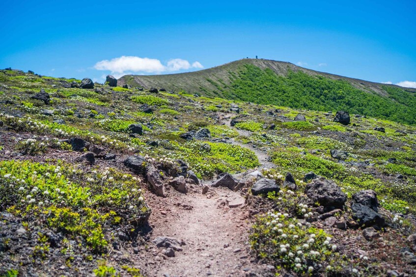 A rocky trail with green vegetation and a hill in the background. 5