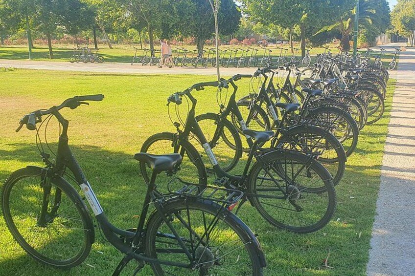 Guided Bike Tour of Seville with a Certified Guide 4