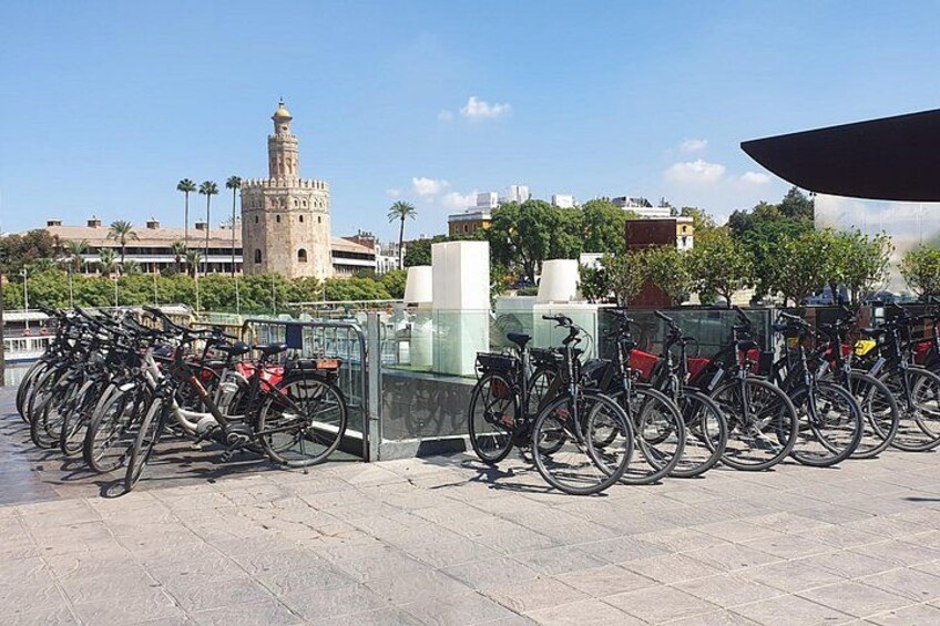 Guided Bike Tour of Seville with a Certified Guide 3