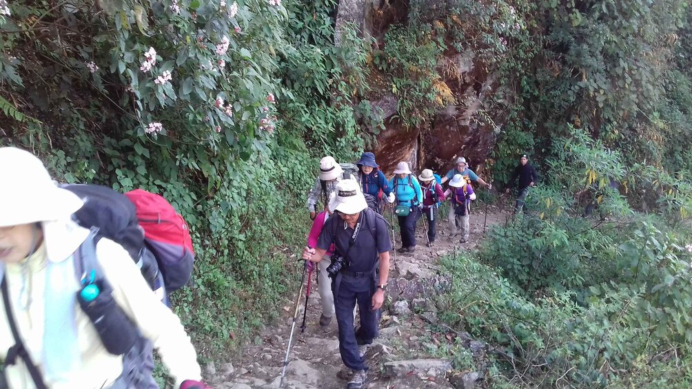 A group of hikers on a rocky trail surrounded by dense vegetation. 4
