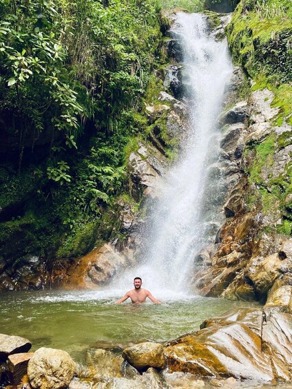 A waterfall in a forested area with a person swimming in the water. 1
