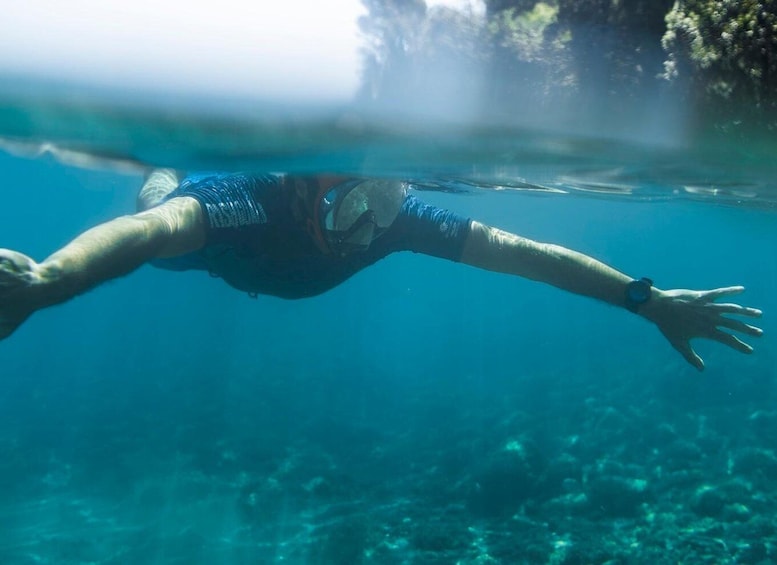 Picture 7 for Activity Snorkelling & Marine Biology Experience in the Cinque Terre 4