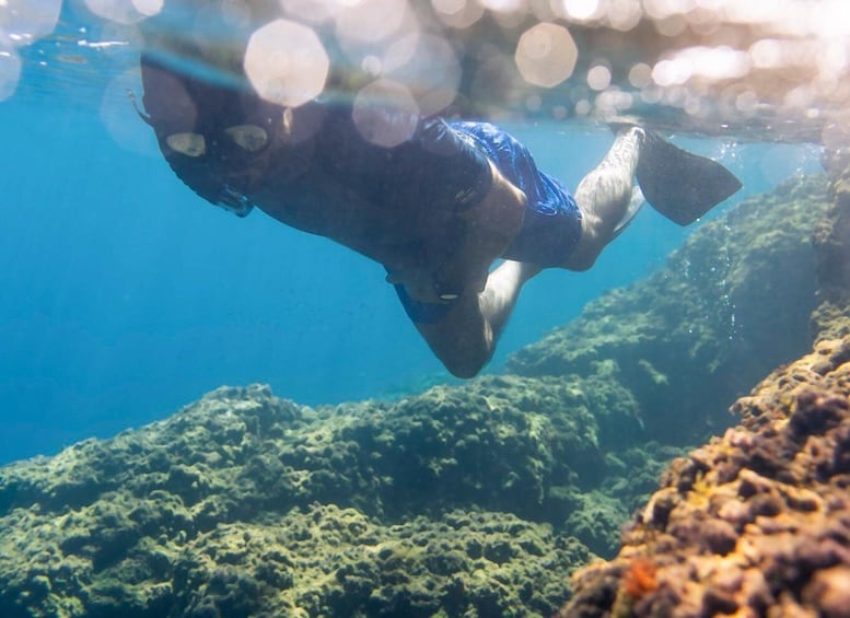Snorkelling & Marine Biology Experience in the Cinque Terre 1