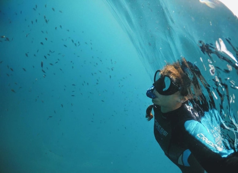 Picture 6 for Activity Snorkelling & Marine Biology Experience in the Cinque Terre 2