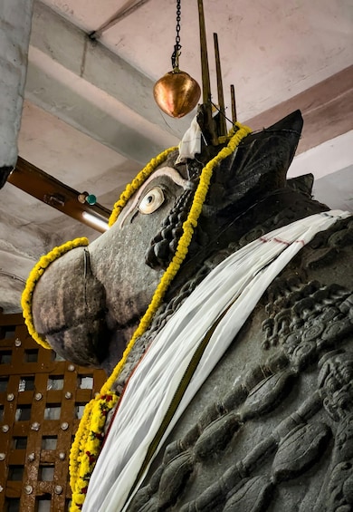 Picture 5 for Activity Bangalore: Sacred Bull & Culture Walk in Basavanagudi 4